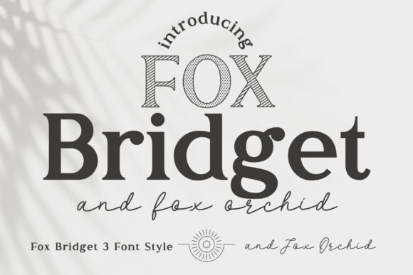 Fox Bridget and Fox Orchid: The Perfect Display Font Duo for Modern Web Design
